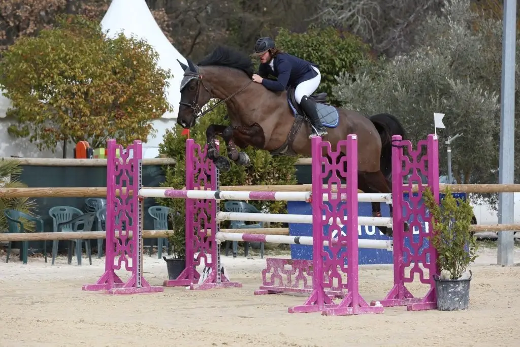 Écurie Passion Jump