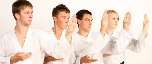 Freestyle Combat Karate (SEKF)
