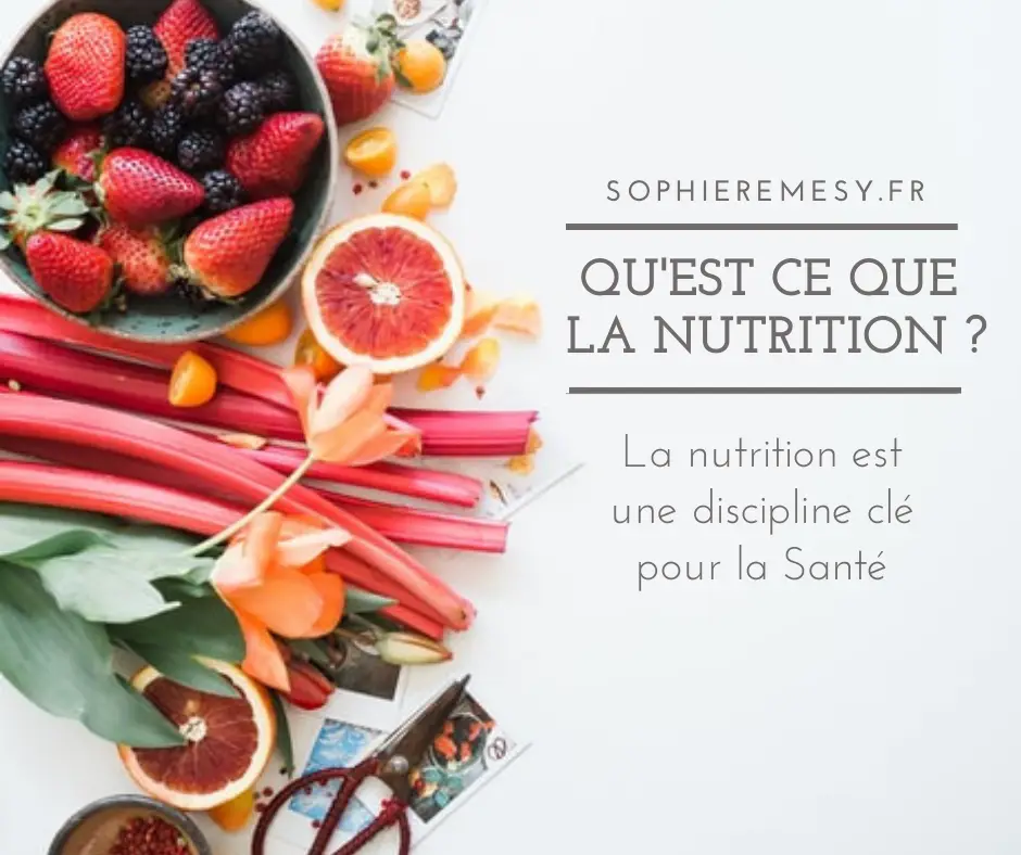 Sophie REMESY - Nutritionniste Toulouse