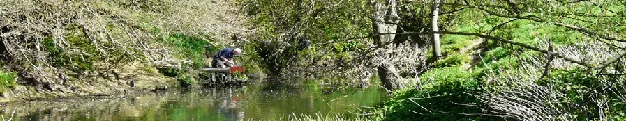 Dorking Angling Society