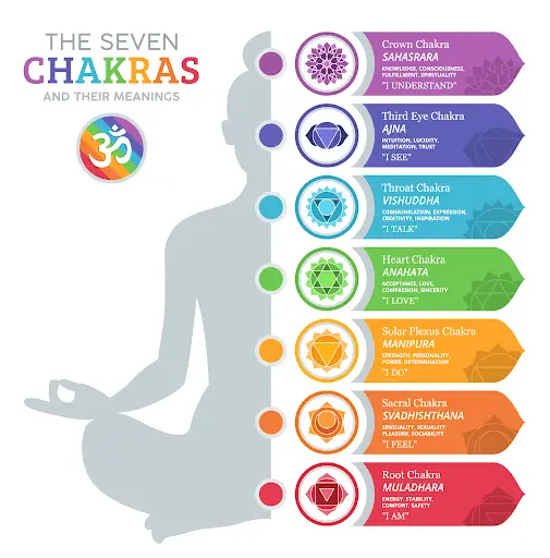 Hibiscus Coast Yoga