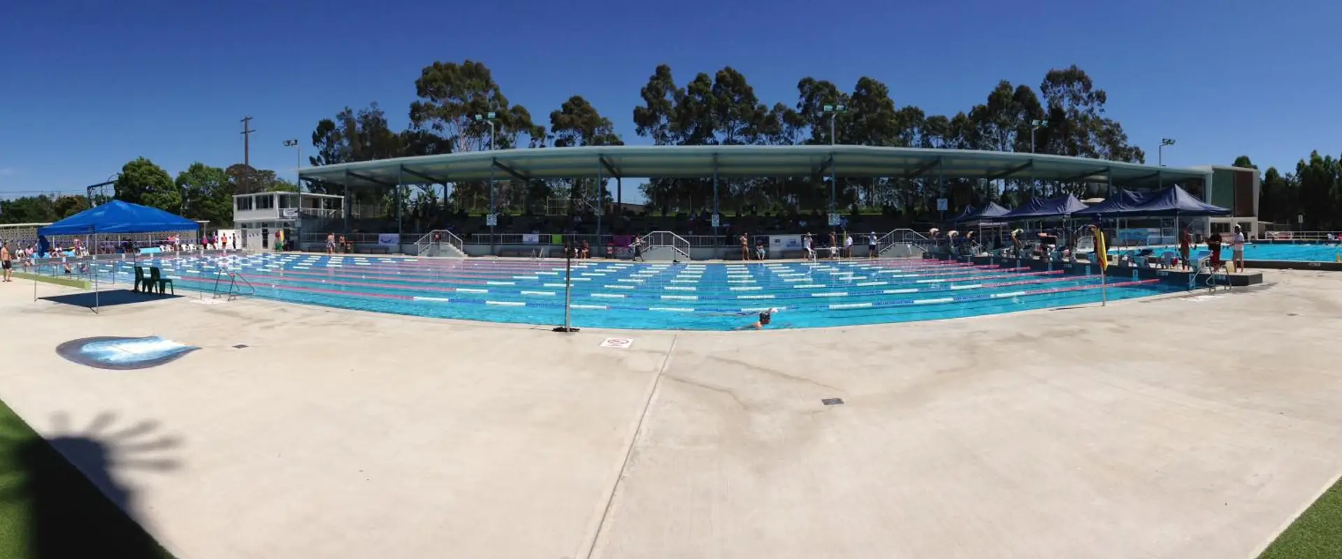 Warringah Masters Swimming Club