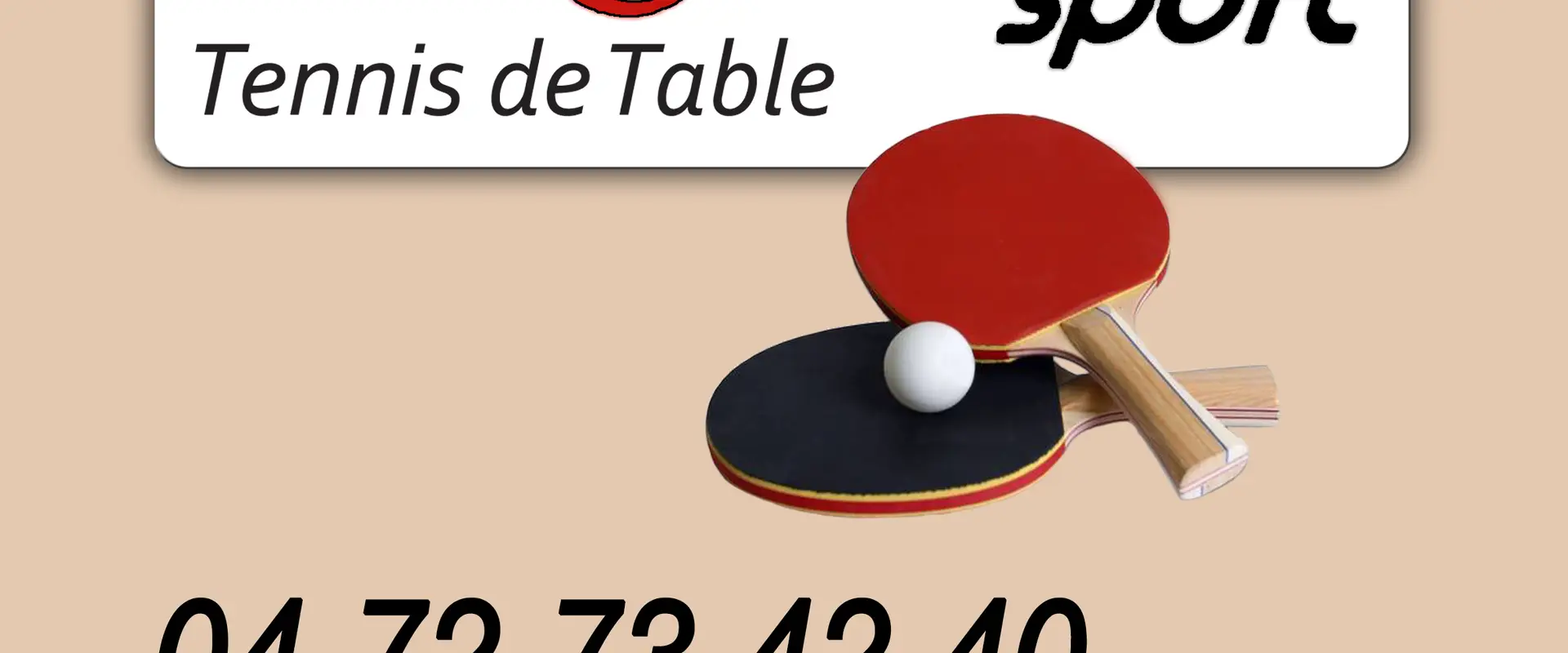 TENNIS DE TABLE LA VERPILLIERE