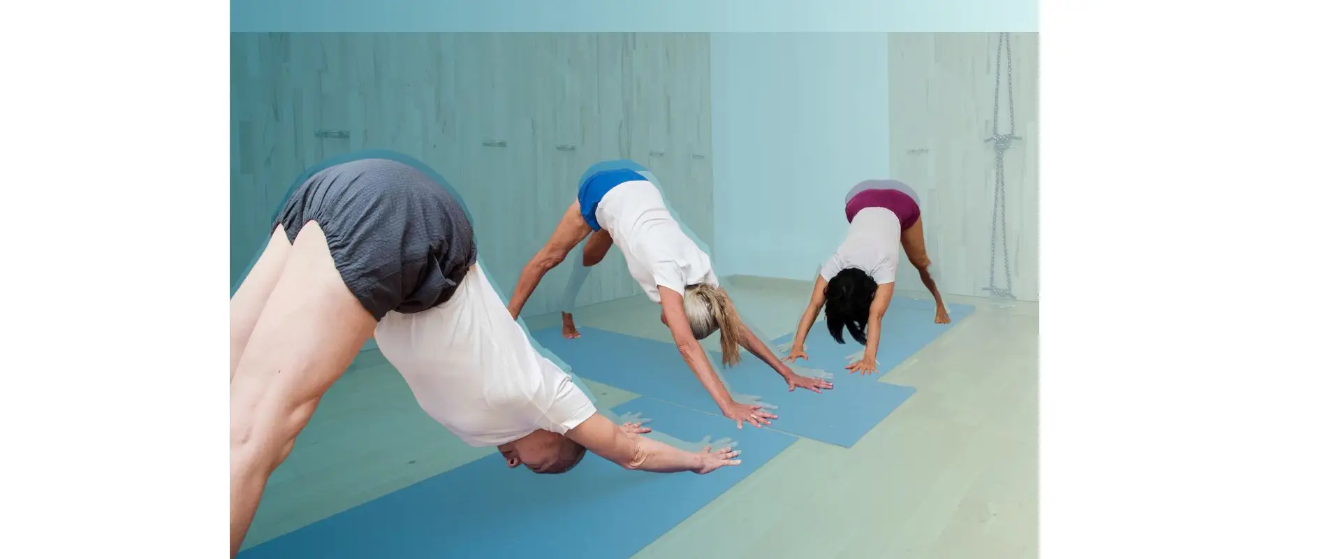SAMYAMA Yoga IYENGAR 15eme Paris