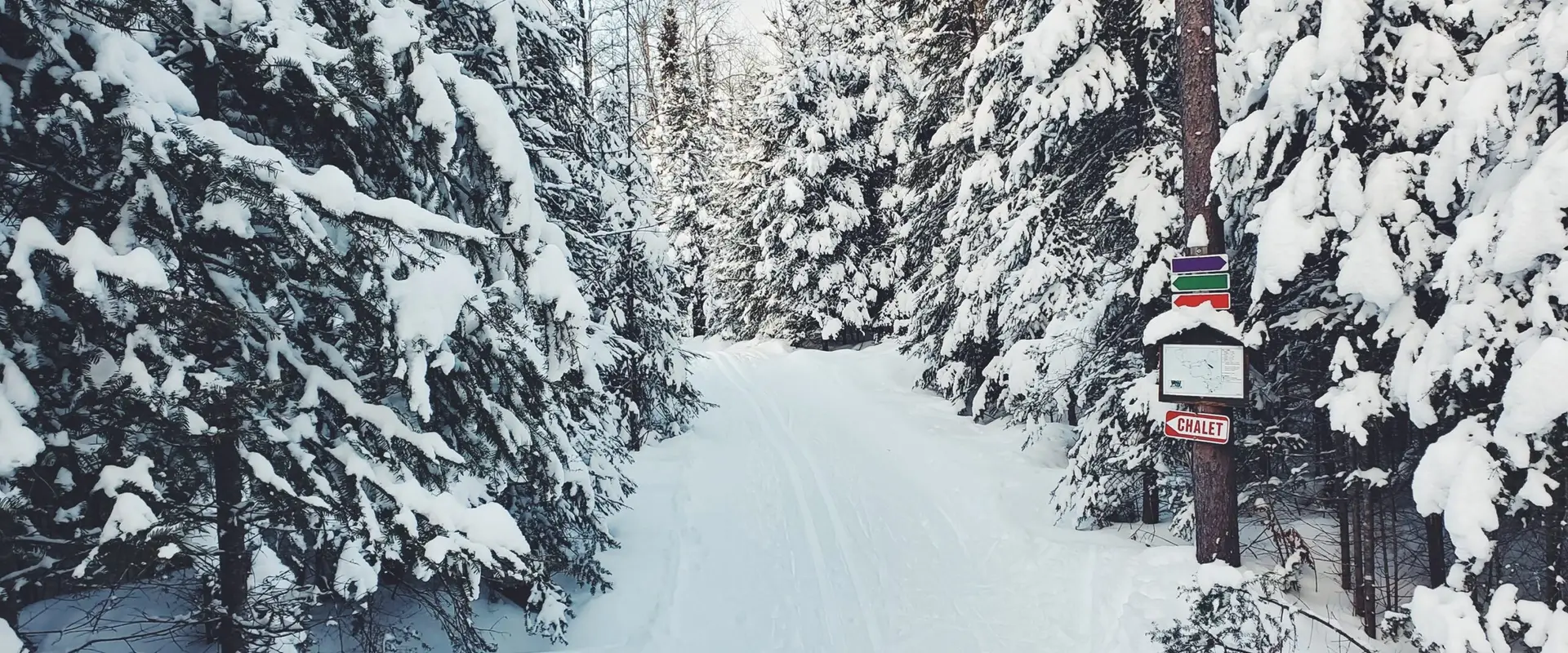 Wasi Cross Country Ski Club