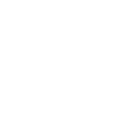 The Program Fitness (Gym)
