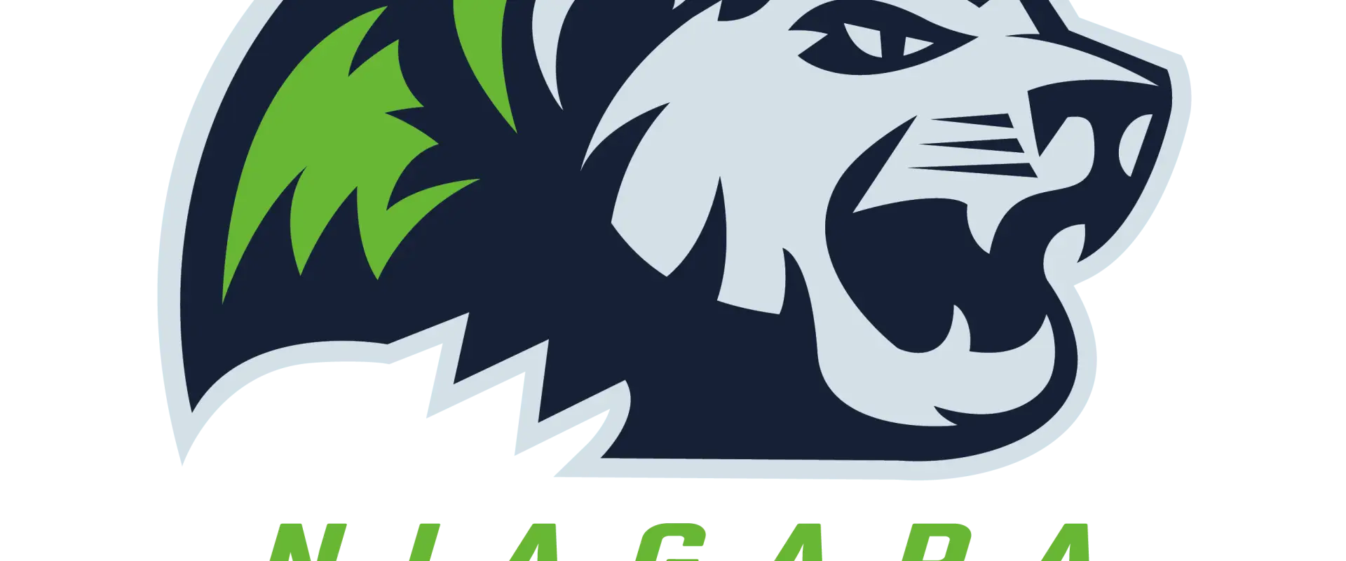 Niagara River Lions
