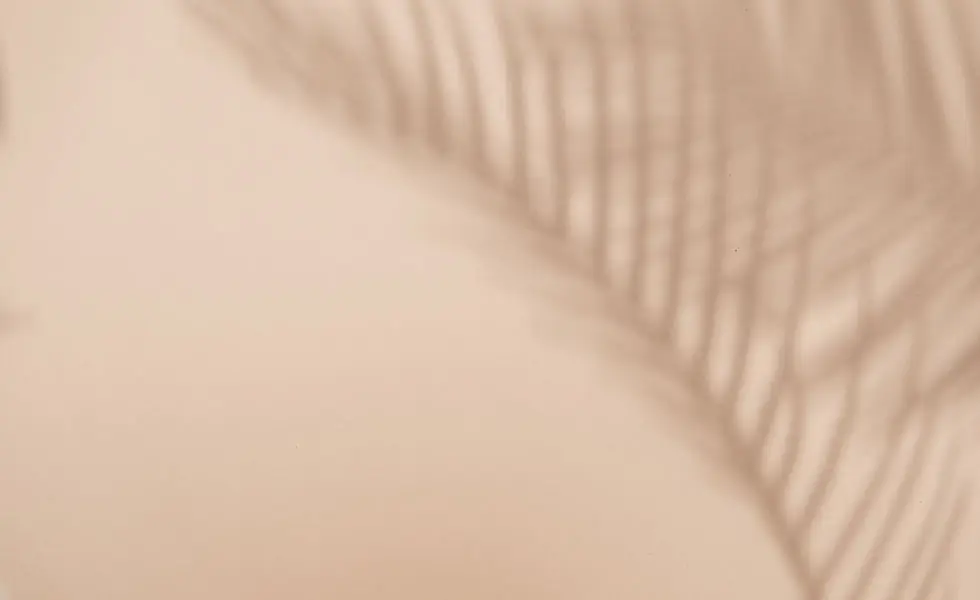 VISION ALS