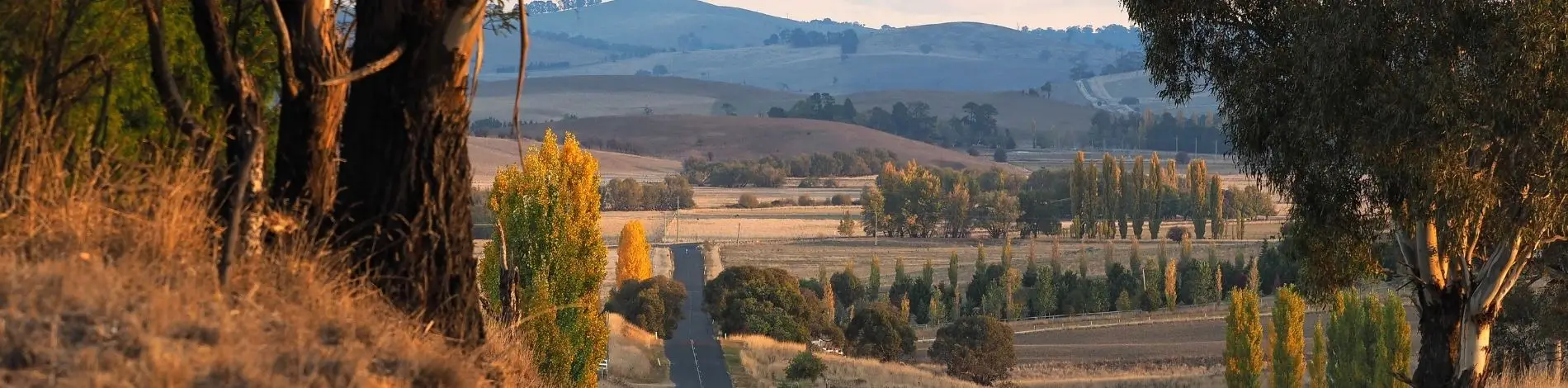 Blayney Skatepark