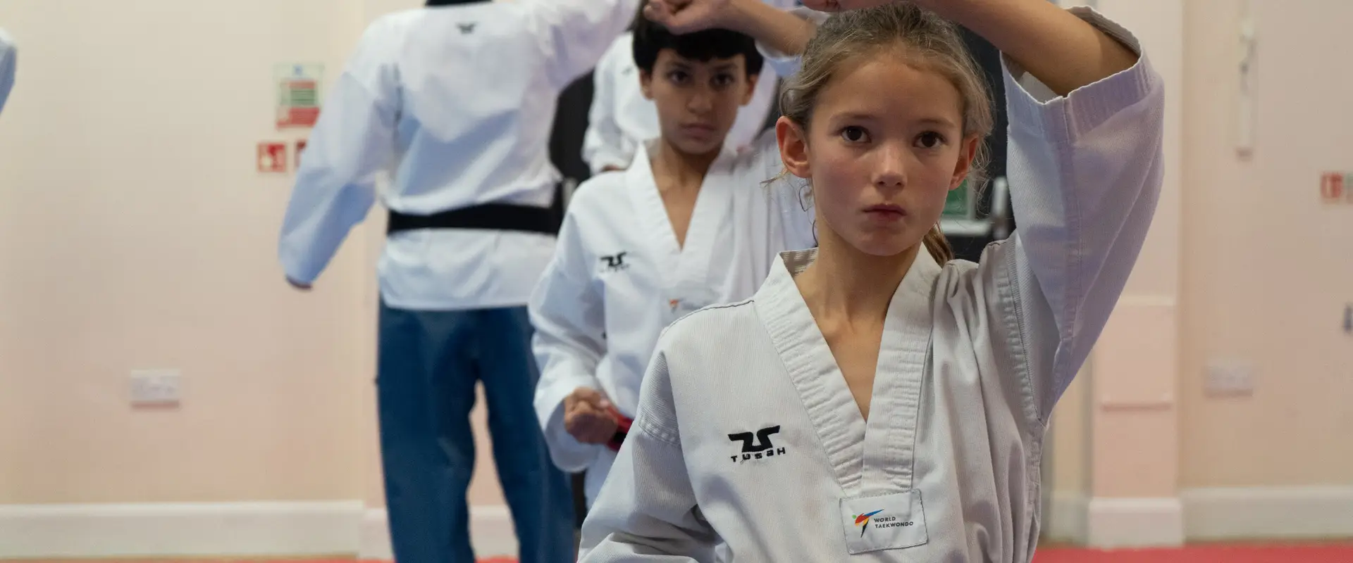 Peak Performance Taekwondo Academy- The Priory School