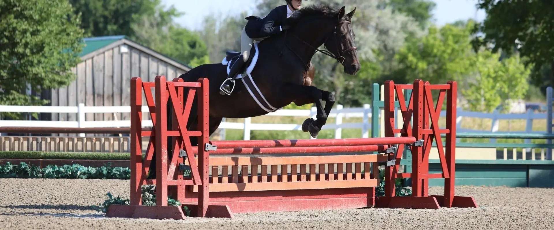 Wynbrook Equestrian Centre