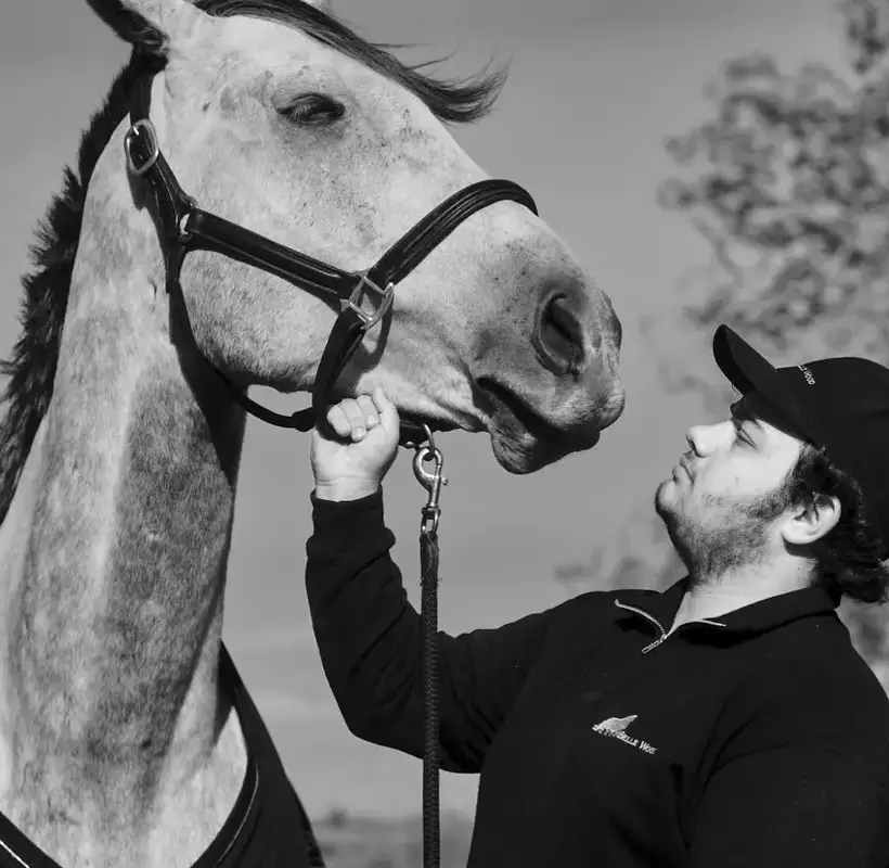 Belle Wood Equestrian Centre