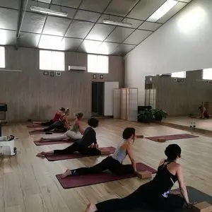 Zion Sport