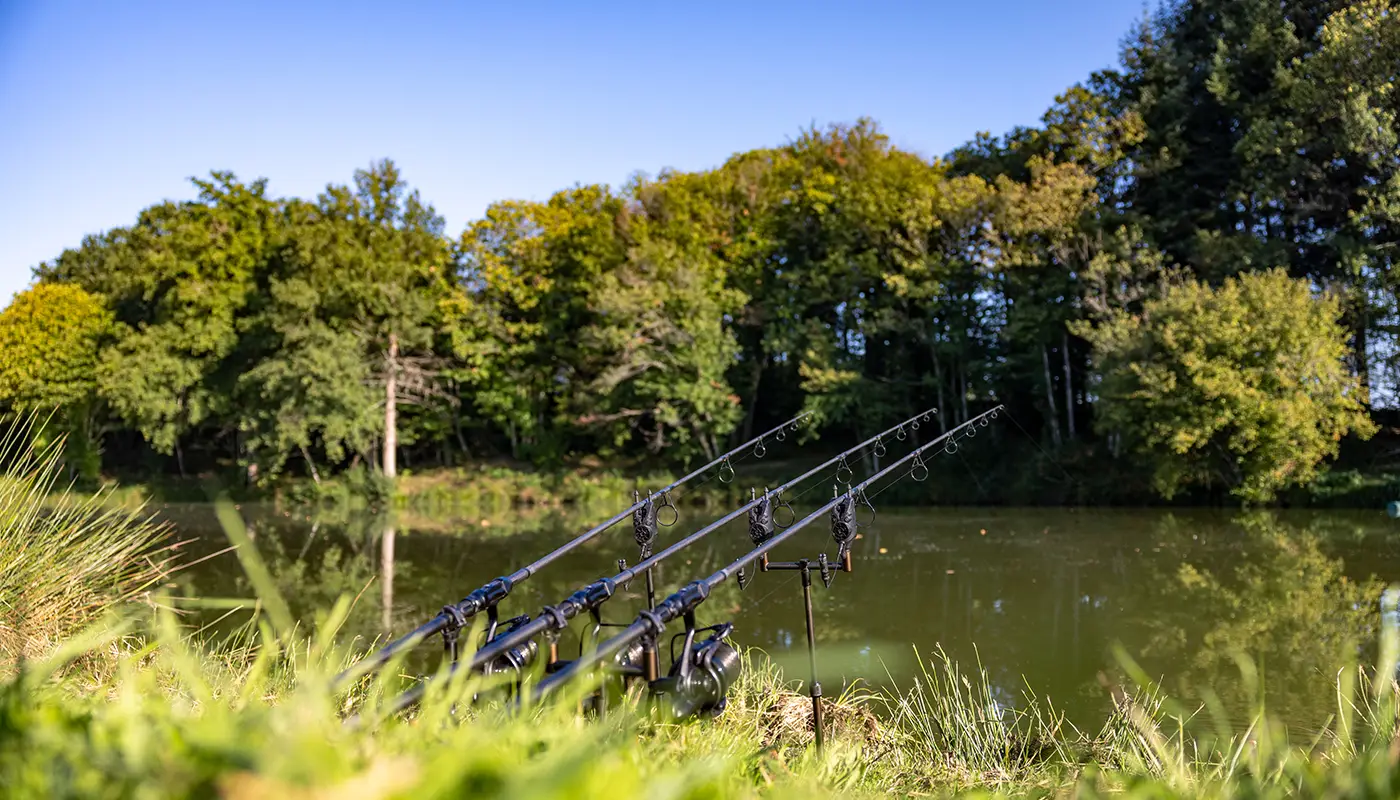 Molyneux Carp Fishery