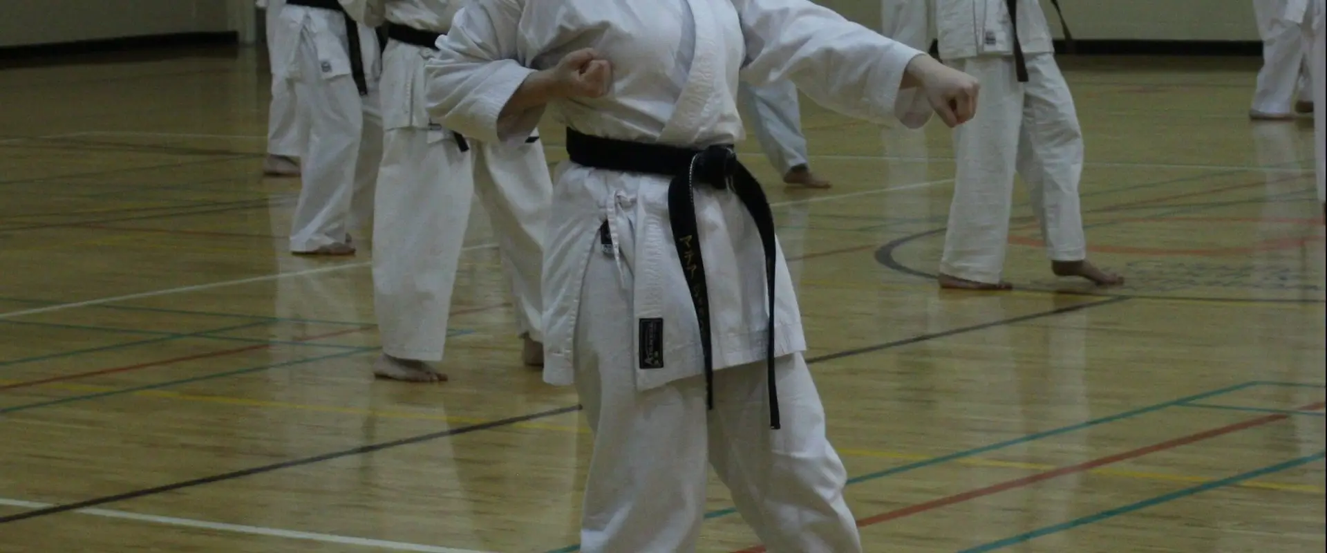Seiwa Kai Karate