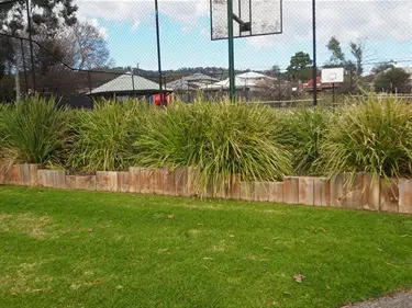 Basketball Court