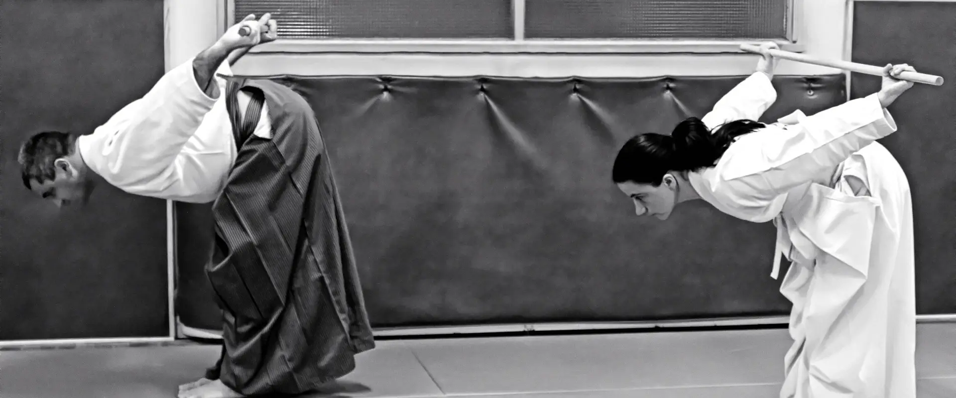 Academy Chambéry D'aikishintaiso