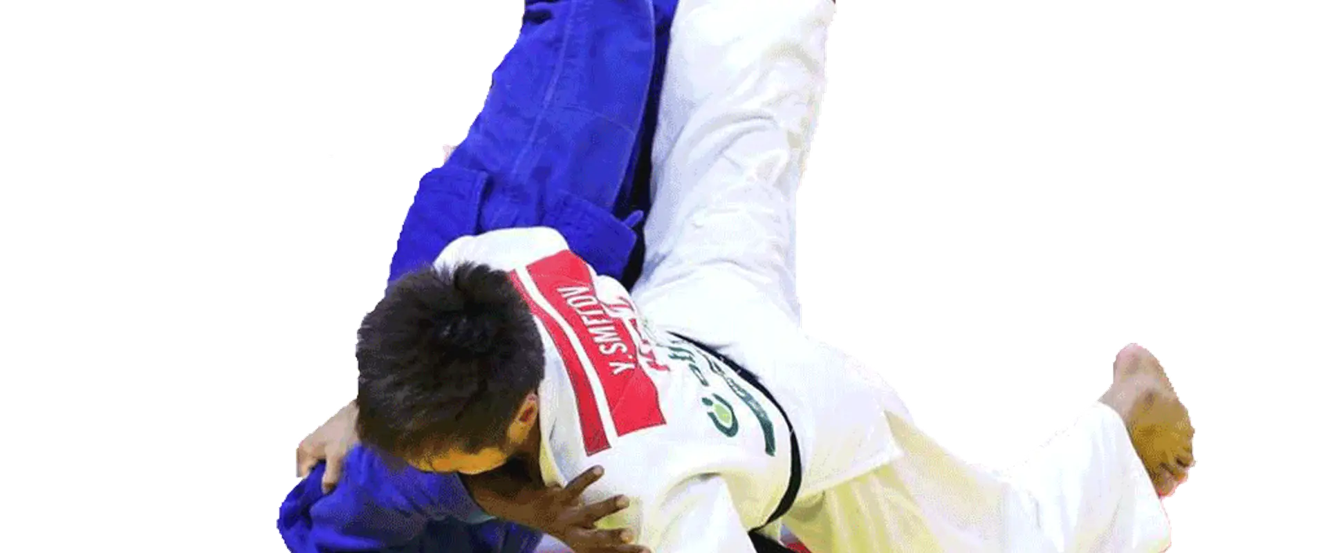 Hayabusakan Judo Club