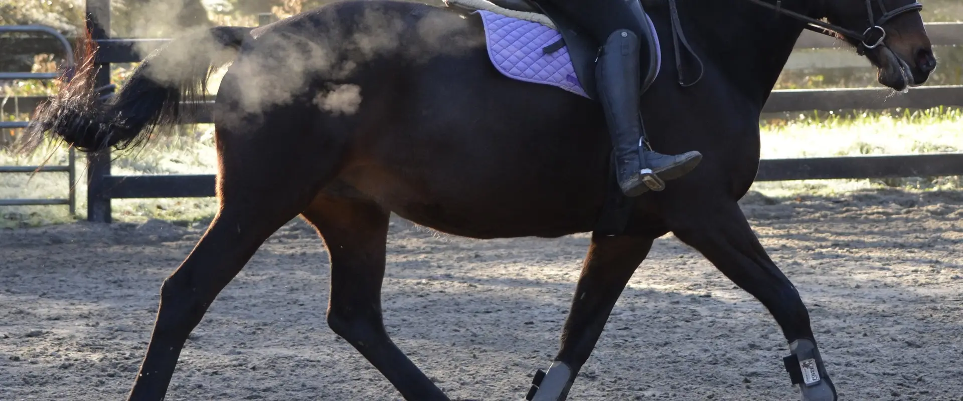 Tasis Equestrian Centre