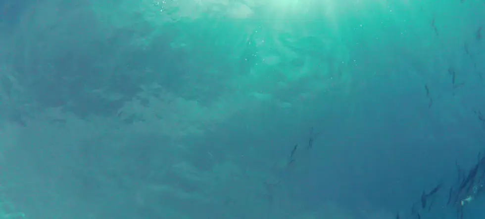 Super Swims