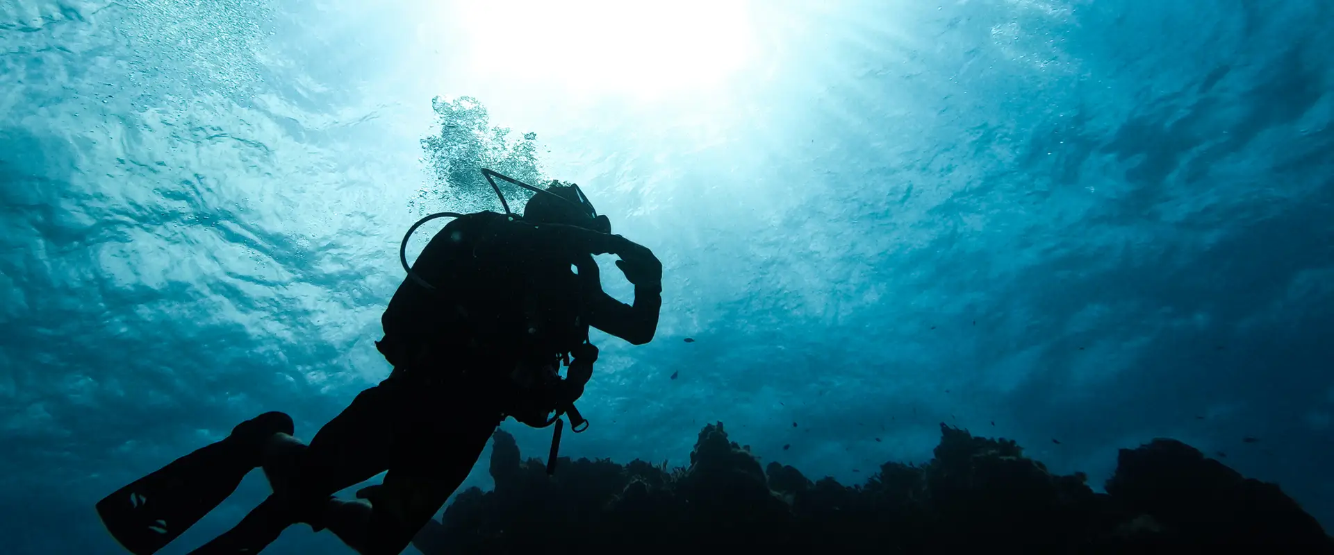 Double Arrow Dive Company