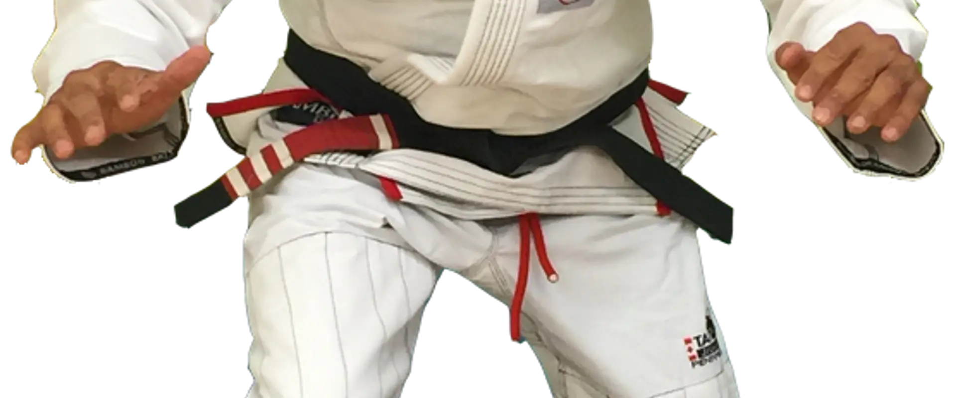 Alliance Jiu-Jitsu