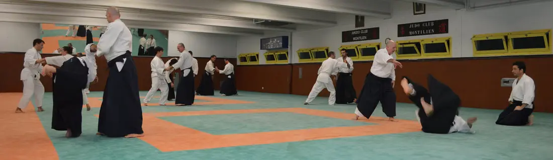 Aikido Club Montilien