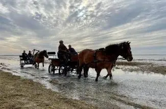 Les centaures de la baie de Somme