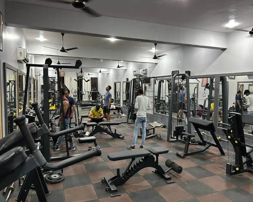 Shape & Size Fitness Point