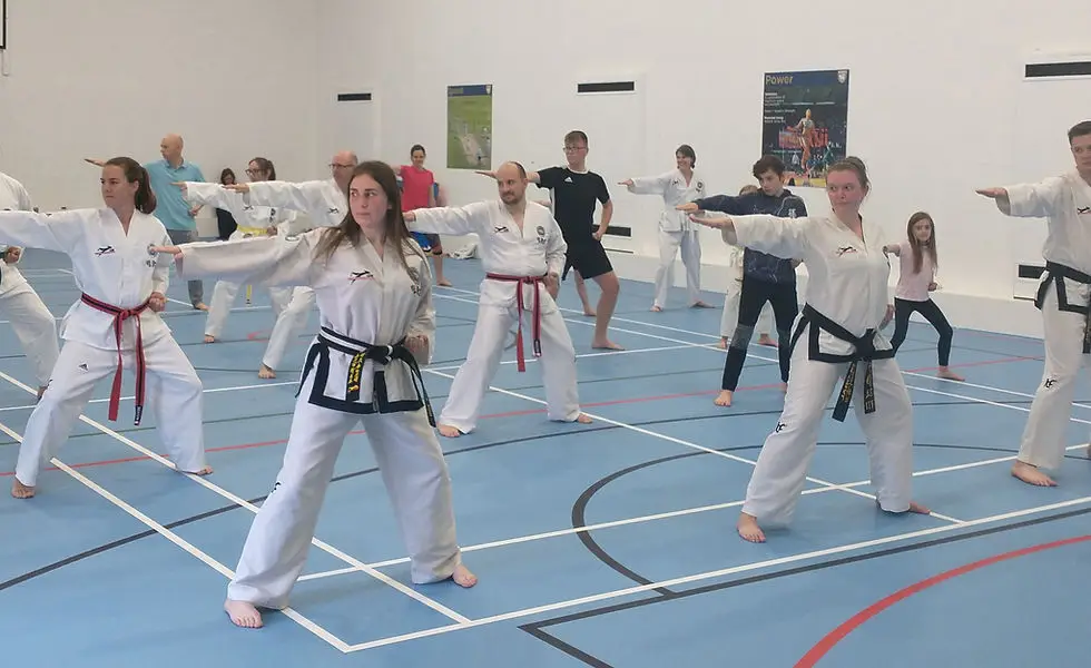 Lynx Taekwon-Do ITF