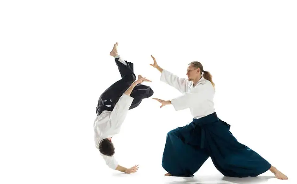 Kensho Aikido