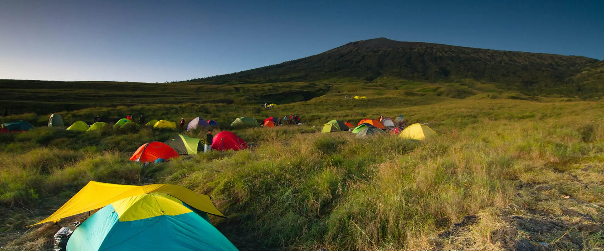 AVS RETAIL