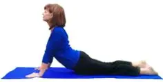 YogaLincs
