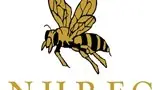 Newquay Hornets RFC