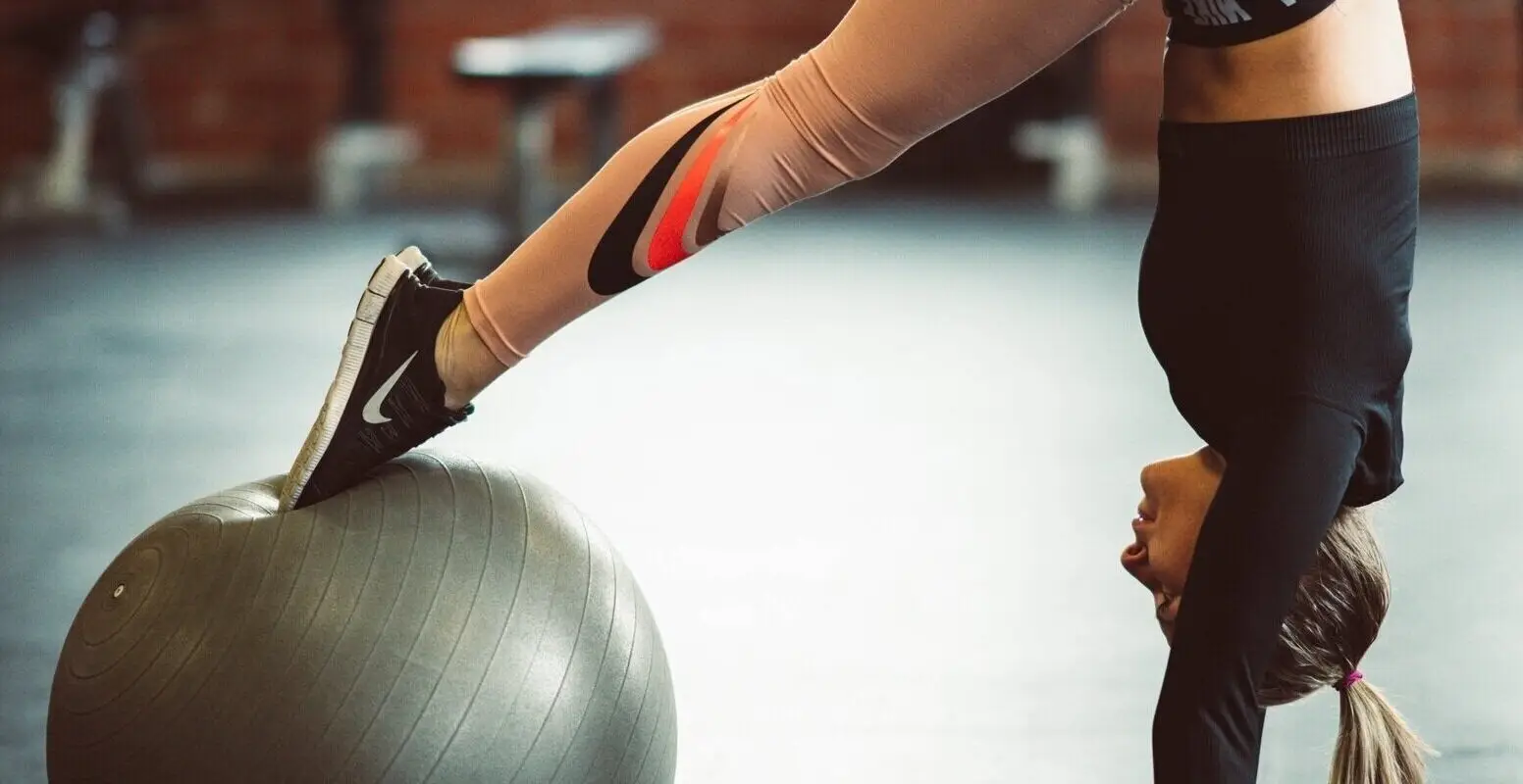 Rise Fitness kw