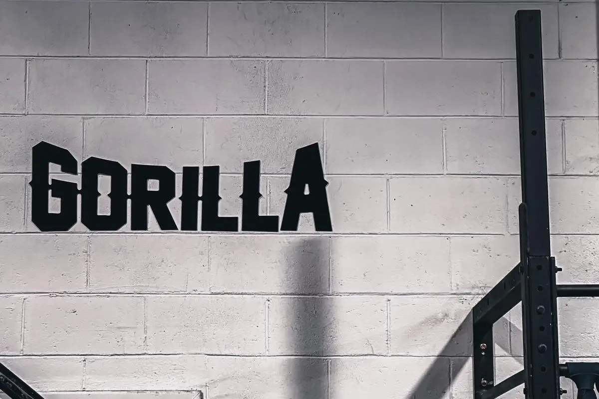 Gorilla Training