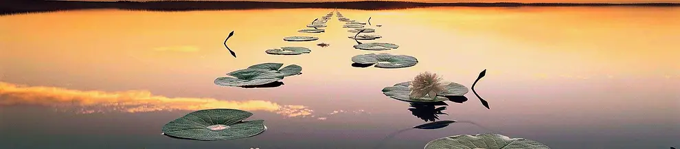 Osmosis Yoga - La Seyne Sur Mer