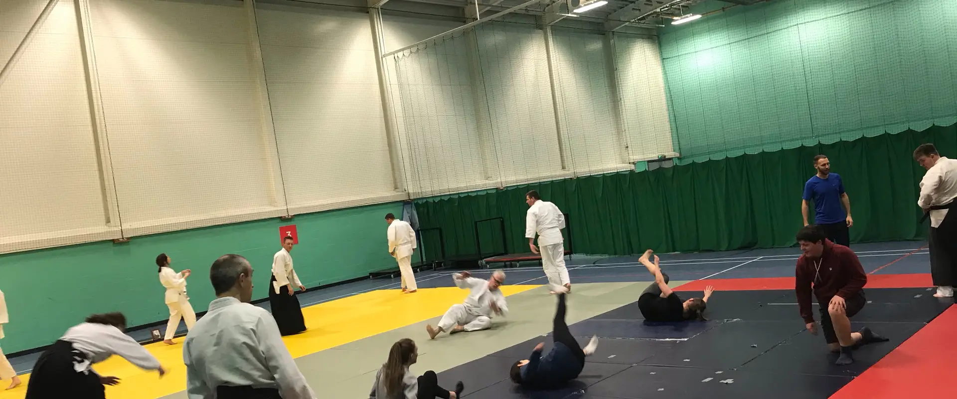 Tudor Grange Aikido
