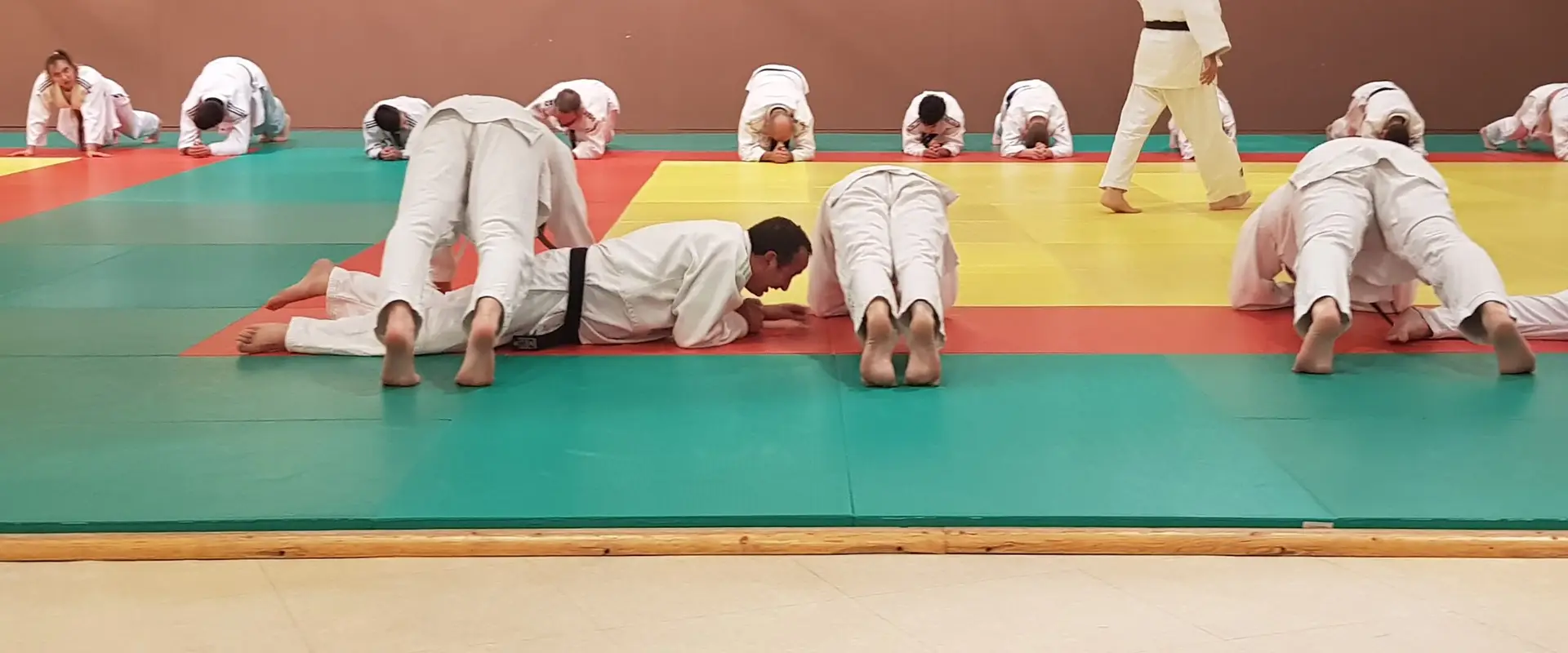 Vigilante Malemort Judo