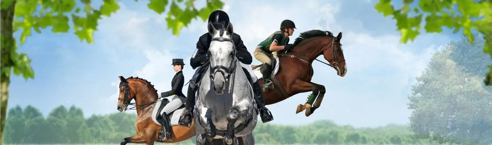 Compétition Equestre Vendée