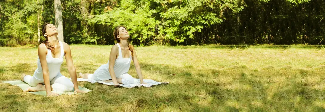 Movement and Health