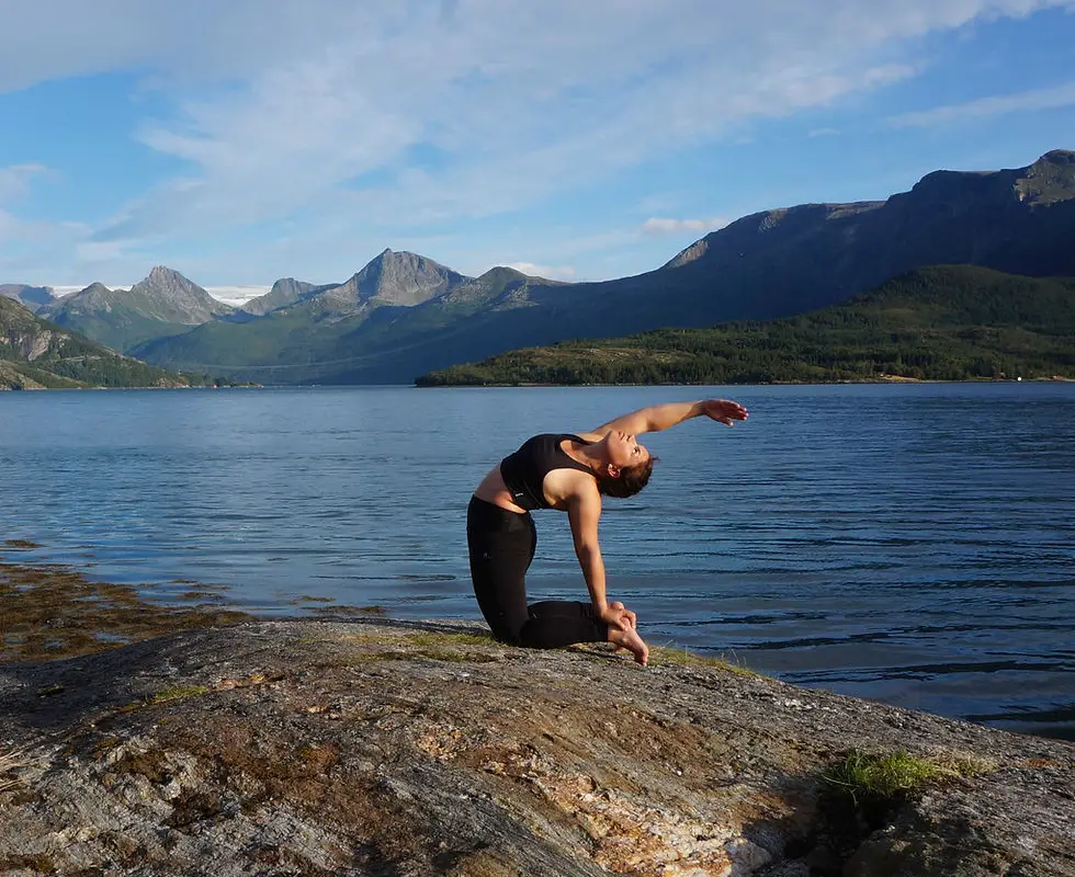 Viny Yogi