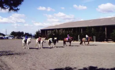 Equestrian Center Des Bruyères