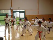 Karate Club Isneauville