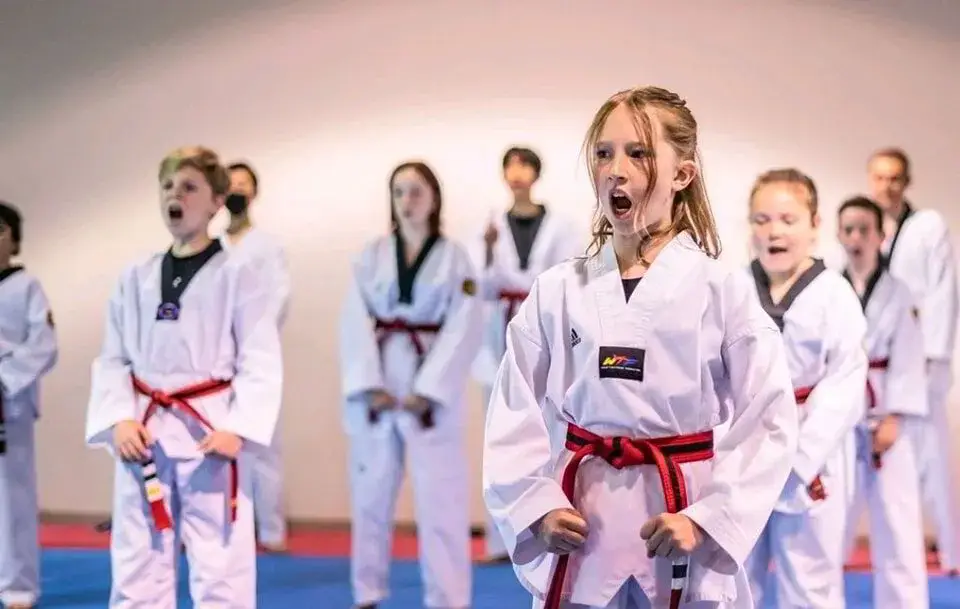 Master Rim's Taekwondo Christie Crossing
