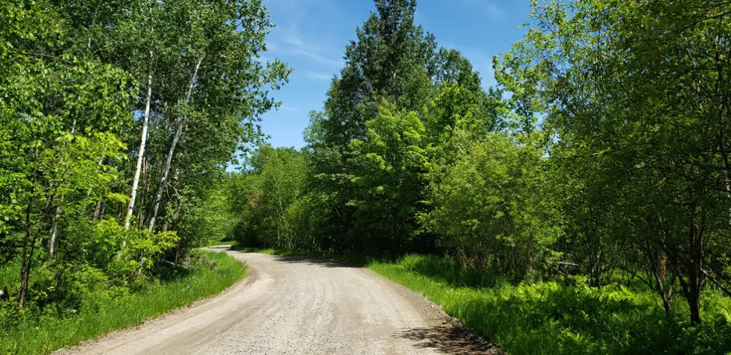 Birch Hill Camp