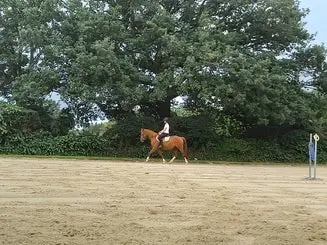 Horse Farm Du Grand Épinay