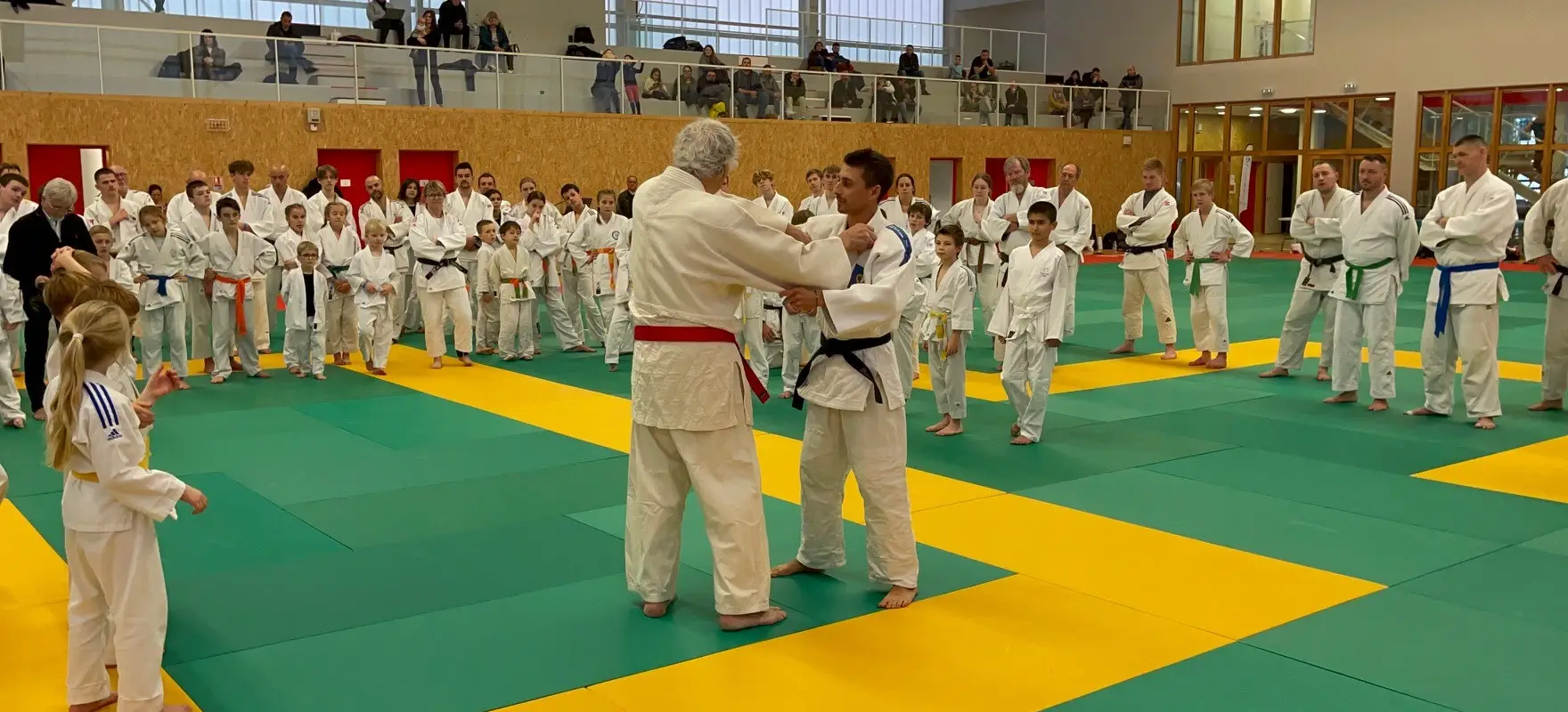 Judo club nieppois lille
