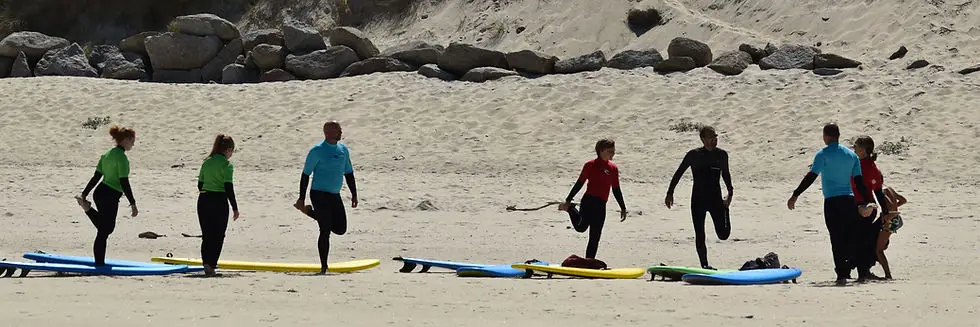 Kerfish Surf Skol