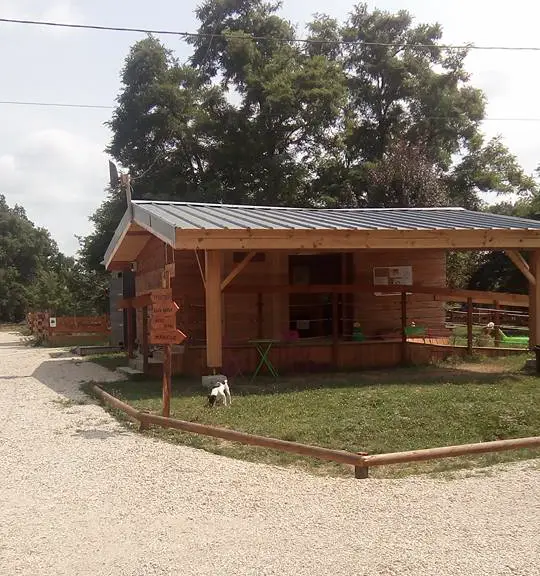 Baptême poney à partir de 4€